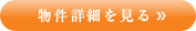 詳細を見る